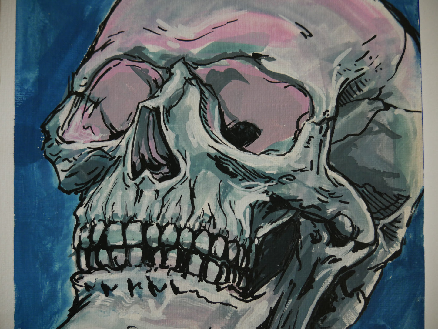 Skull Study Pink 6inx9in