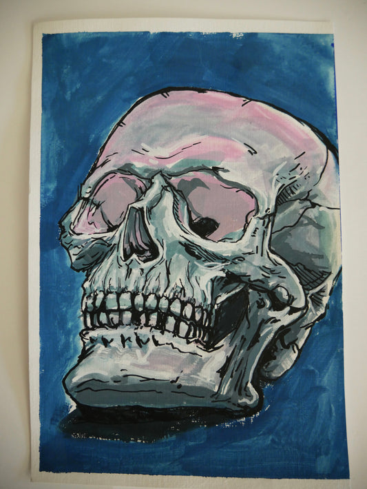 Skull Study Pink 6inx9in